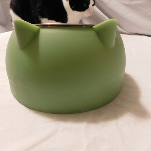 COPY - Kitty Kat Colorful Dishes Food /Water - Picture 11 of 11